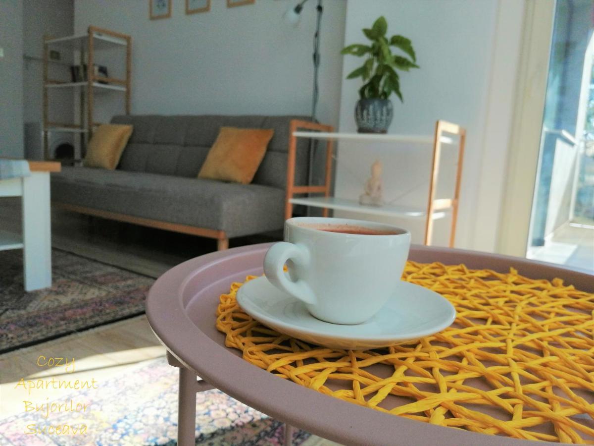 Cozy Apartment Bujorilor Suceava Exterior photo