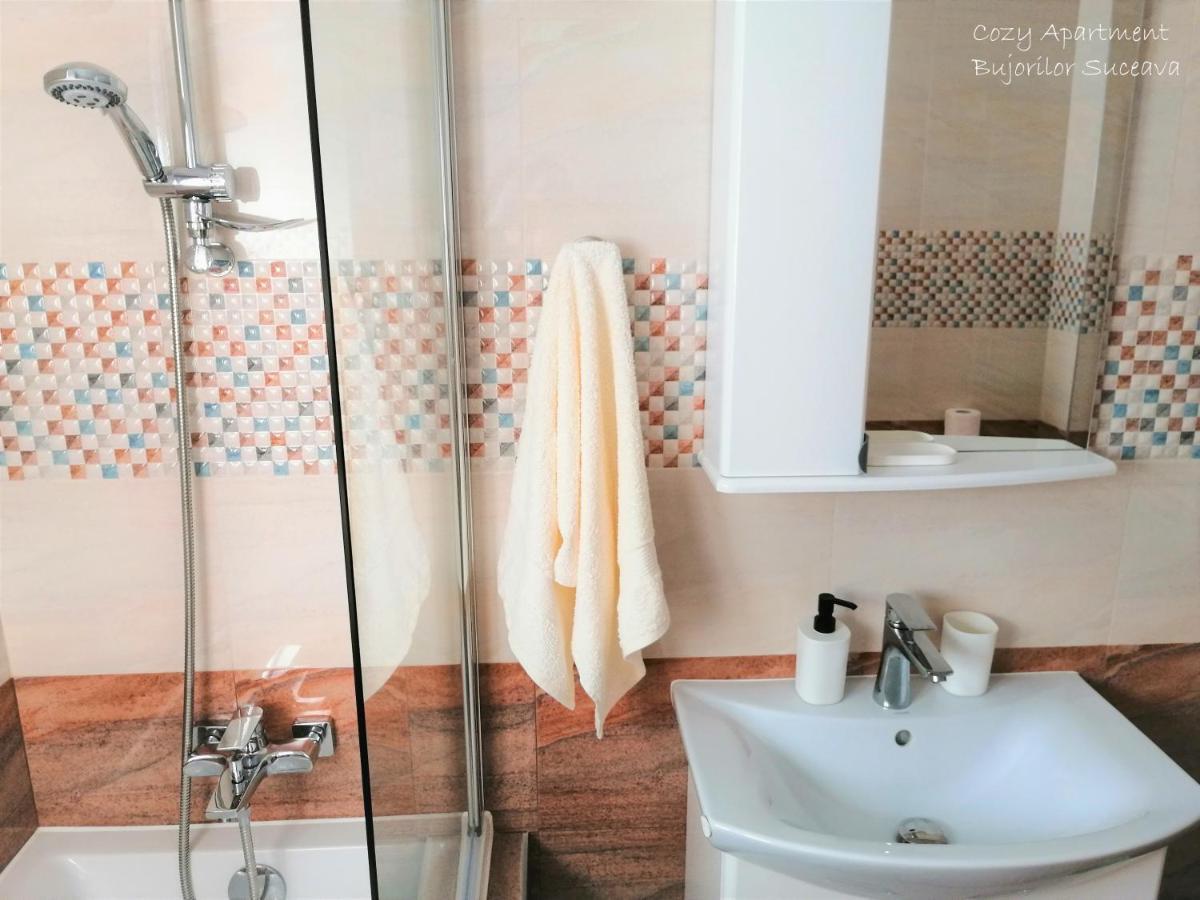 Cozy Apartment Bujorilor Suceava Exterior photo