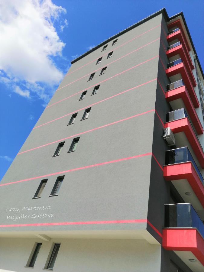 Cozy Apartment Bujorilor Suceava Exterior photo